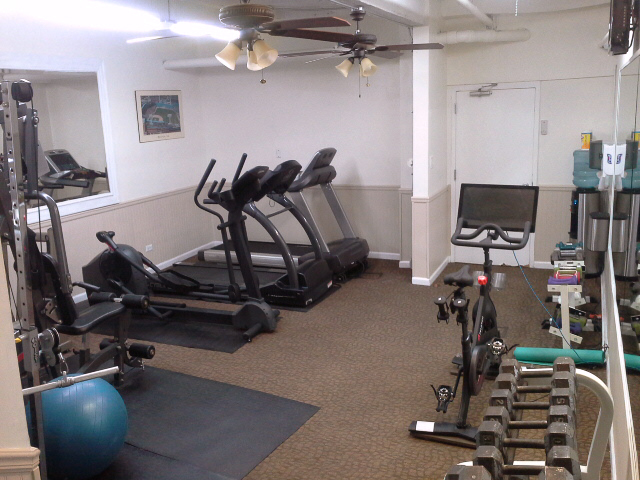 1117 N Dearborn, Chicago, Fitness Room